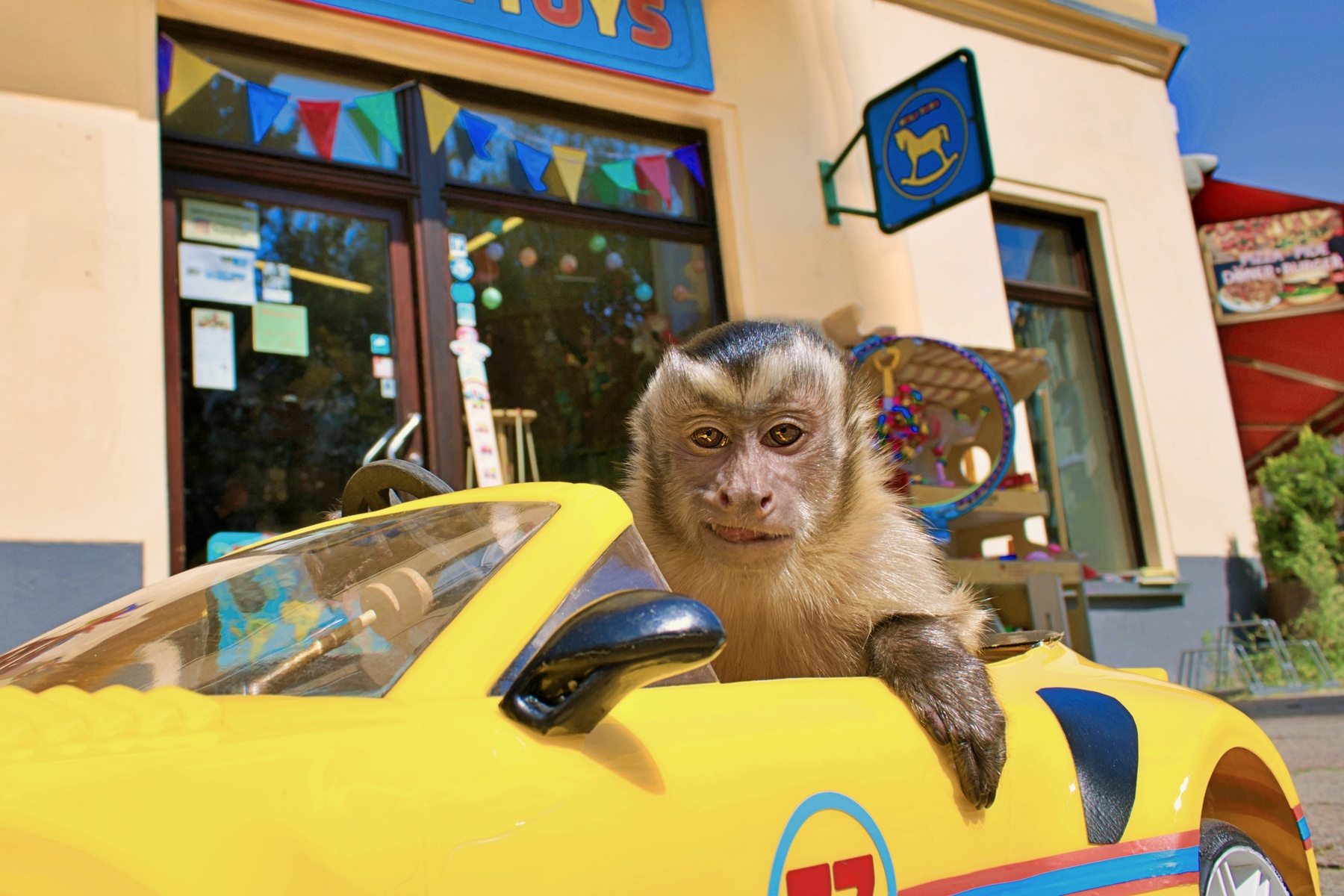 Akiko, der fliegende Affe (2024)